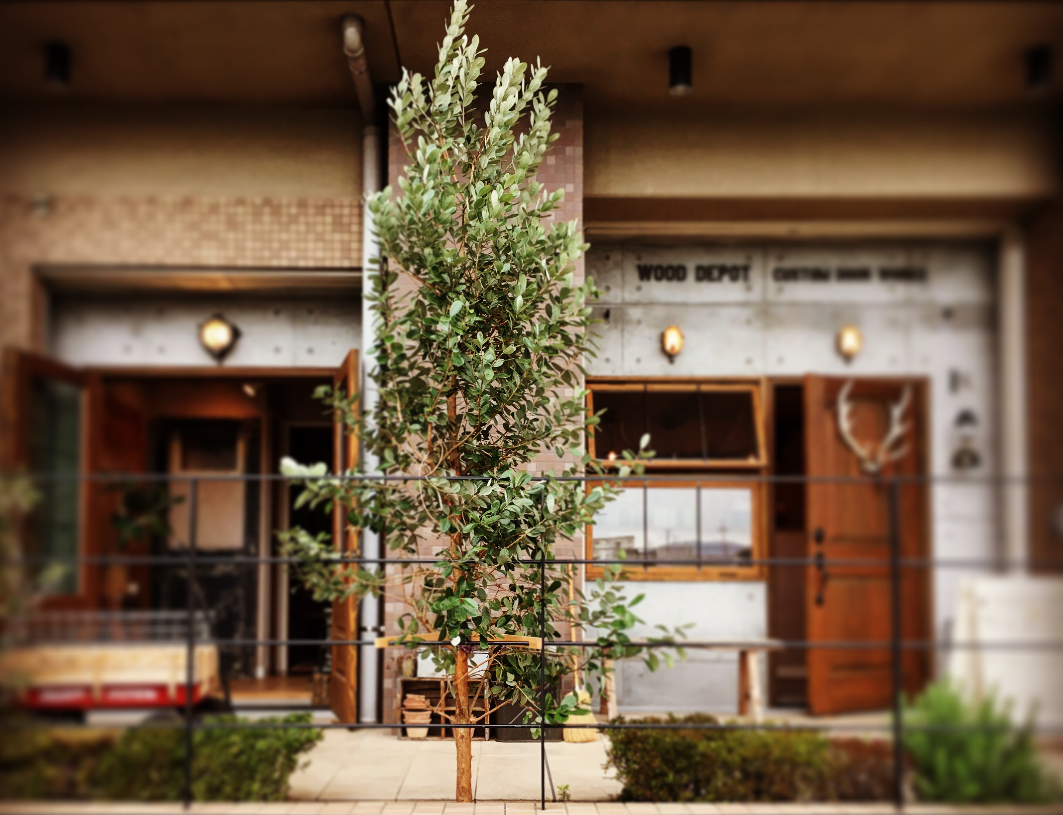 WOOD DEPOT アトリエ画像